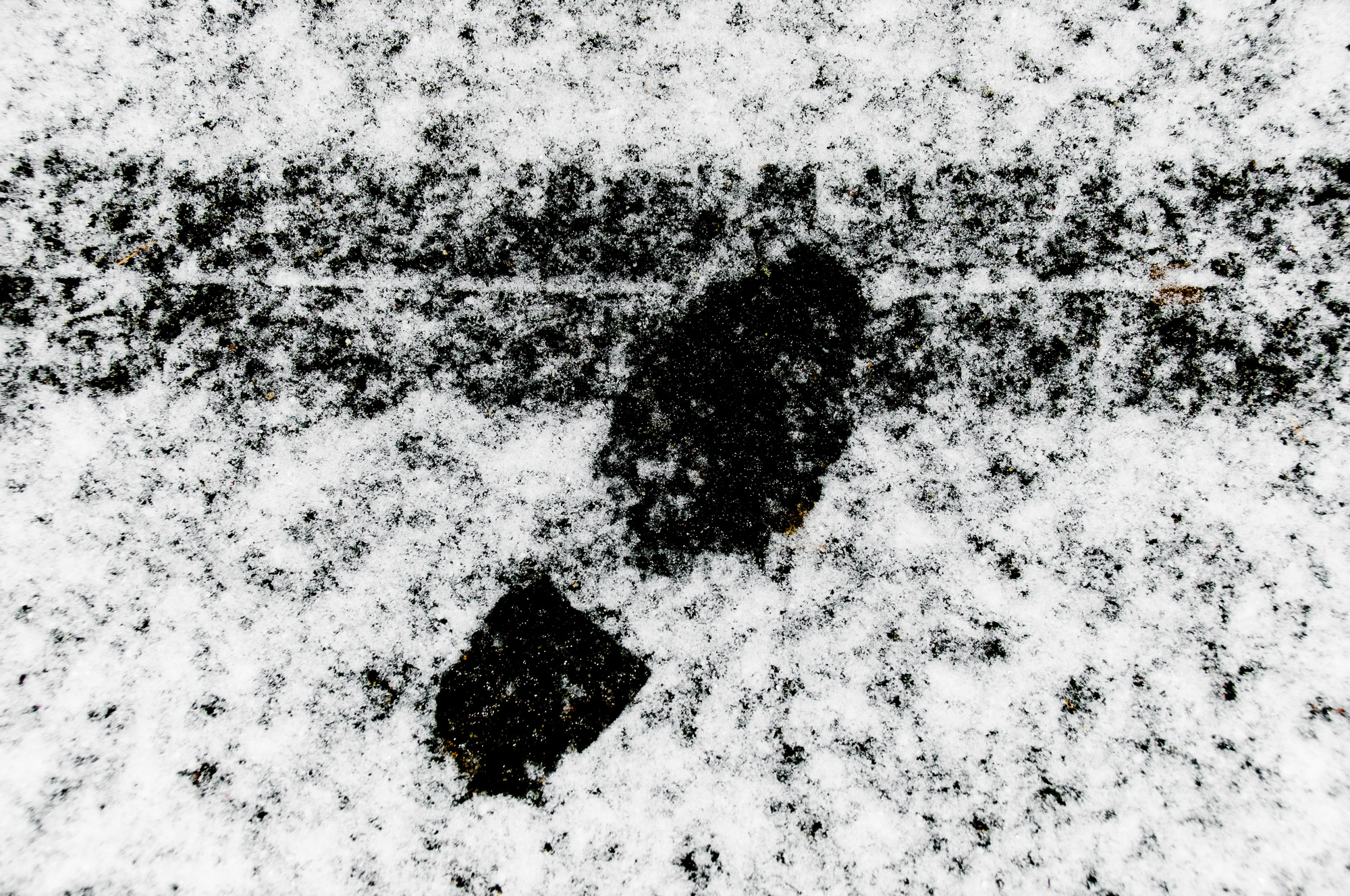 DSC 1292